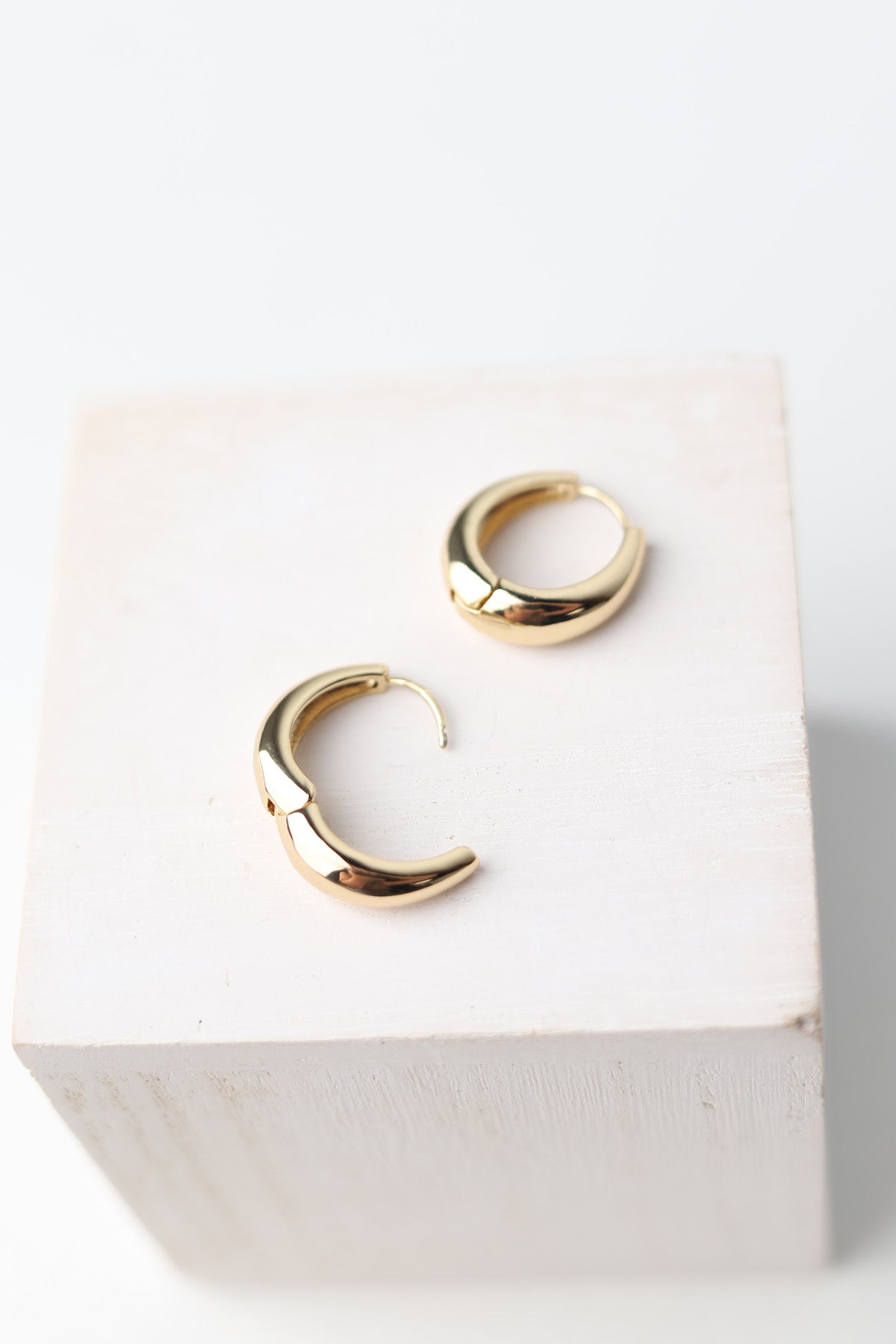 Ada 14K Gold-Dipped Chunky Hoop Earrings - Gold