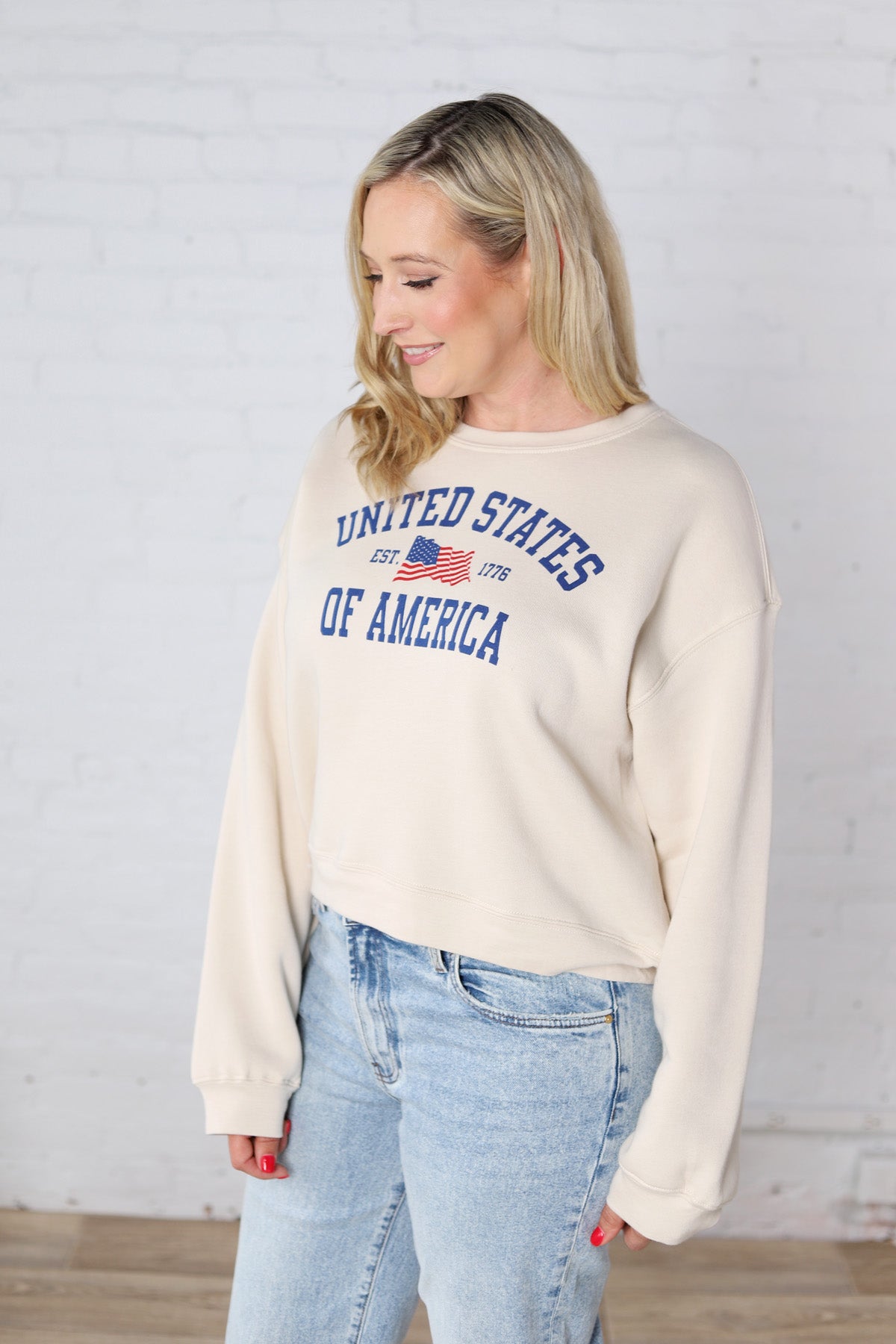 Classic United States of America Graphic Sweatshirt - Heather Dust