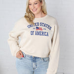 Classic United States of America Graphic Sweatshirt - Heather Dust