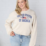 Classic United States of America Graphic Sweatshirt - Heather Dust