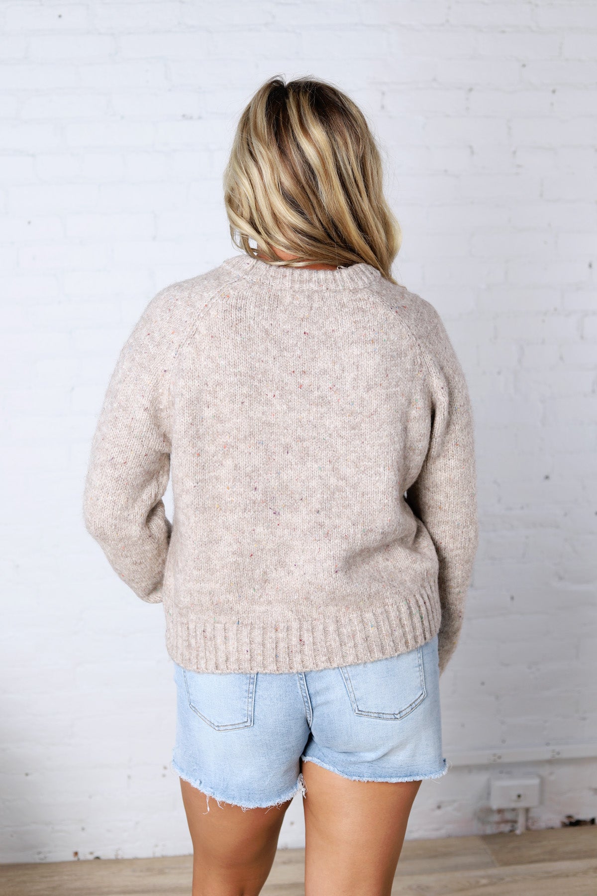 Gemma Speckled Crew Neck Knit Sweater - Oatmeal