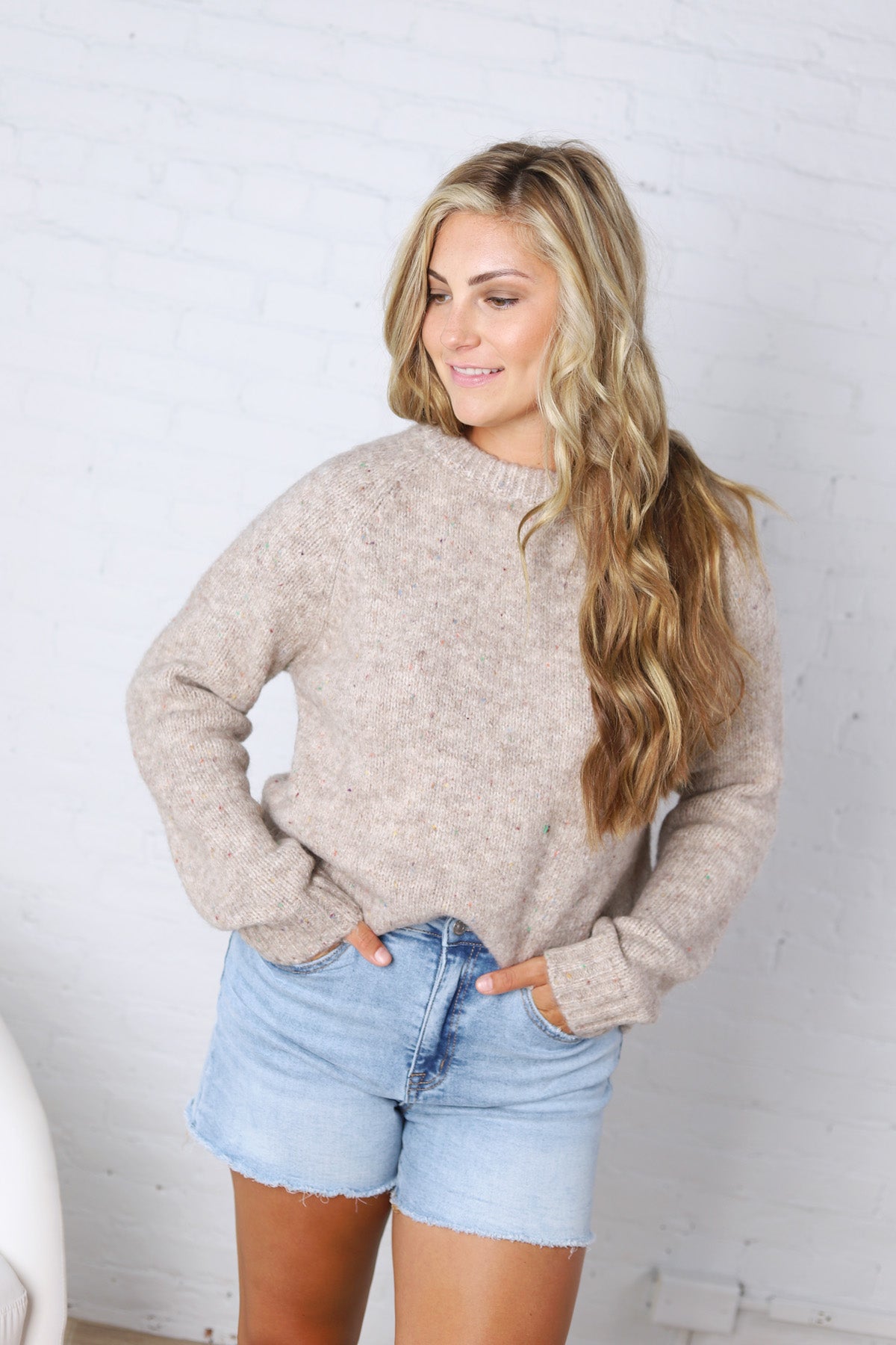 Gemma Speckled Crew Neck Knit Sweater - Oatmeal