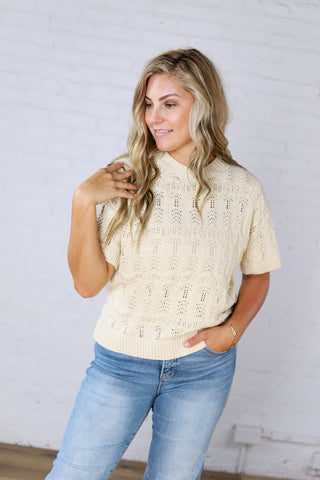 Gracey Crochet Knit Puff Sleeve Sweater Top - Cream
