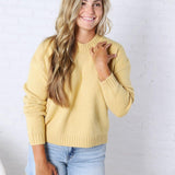 Ivy Knit Pullover Sweater - Honey