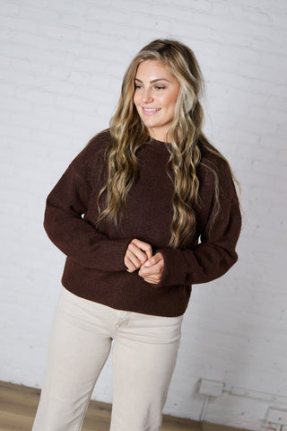 Pina Crewneck Soft Knit Sweater - Walnut