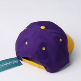 Purple Paddle Eaters Snapback Hat - Sota Clothing