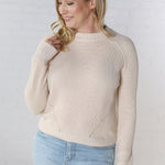 Shani Pullover Crochet Detail Sweater