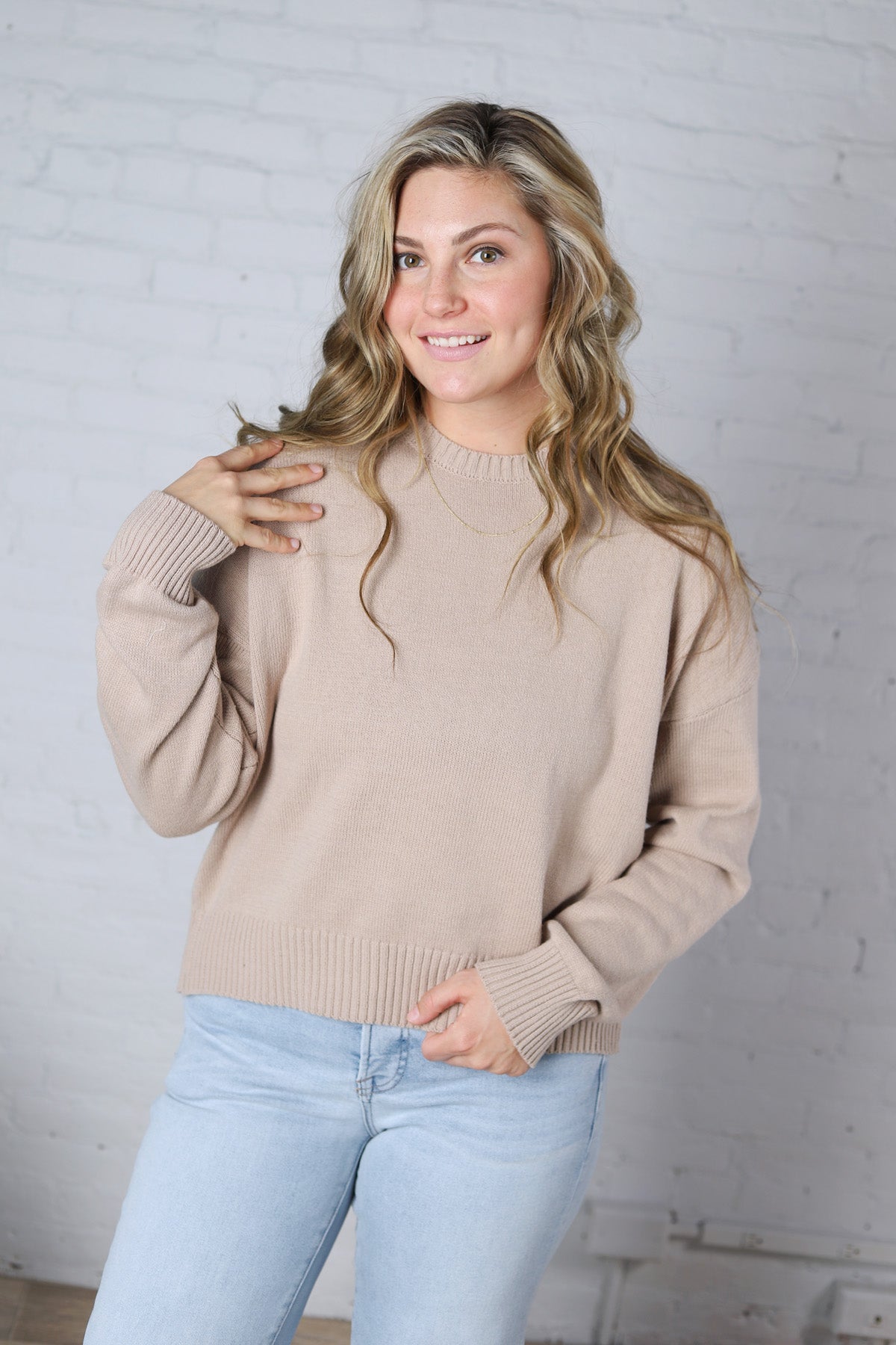 Siena Basic Relaxed Crop Sweater Top - Taupe