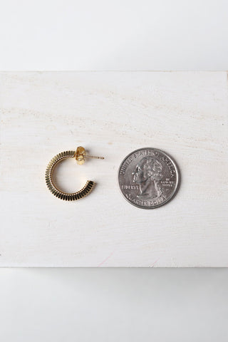 Sofia 14K Gold-Dipped Textured Earrings - Gold