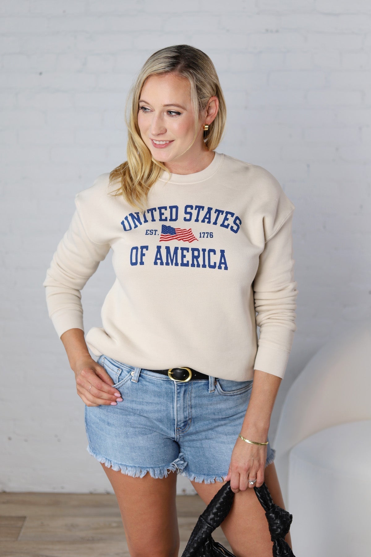 United States of America Graphic Sweatshirt - Heather Dust - FINAL SALE