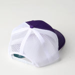 Vikes Script Snapback Hat - Sota Clothing