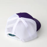 Vikes Script Snapback Hat - Sota Clothing