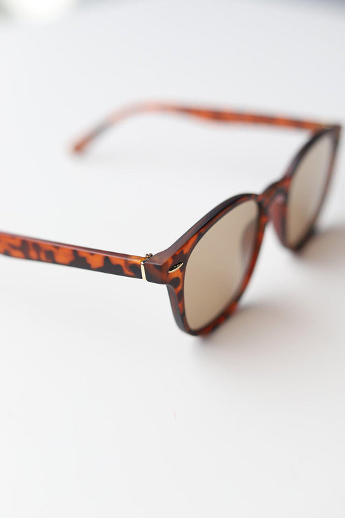 Casey Unisex Sunglasses - Tortoise Frame + Brown Lens